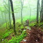 컨트리하우스 Casa Cuevas (Aller)