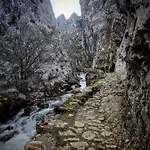 Casa * Cuevas (Aller)