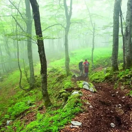 Séjour à la campagne Casa Cuevas (Aller)