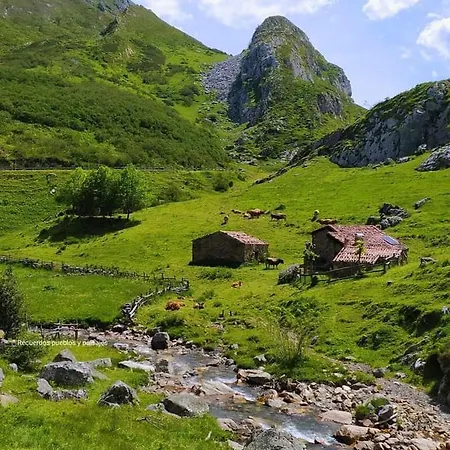 Casa *