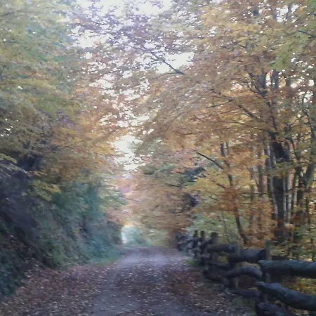 Casa Cuevas (Aller)